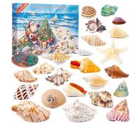 Calendari Per Gli Avvocati Di Mare 2025, Calendario Del Conto Alla Rovescia Di Natale 24 Giorni Con Conchiglie Naturali, Colletti Da Collezione Creativo Con Mare, Kit Di Esplorazione Scientifica