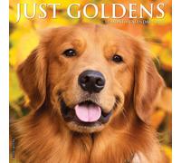 Calendari Willow Creek Press - Just Goldens 2023 Wall Calendar