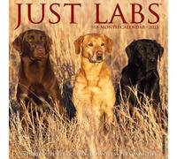Calendari Willow Creek Press - Just Labs 2023 Wall Calendar