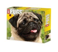Calendari Willow Creek Press - Pugs 2023 Box Calendar