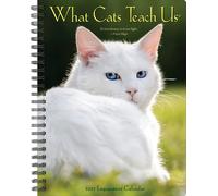Calendari Willow Creek Press - What Cats Teach Us 2023 Engagement Calendar