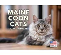 Calendario 2024 con gatto Maine Coon