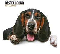 Calendario 2024 moderno Basset Hound