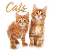 Calendario 2024 moderno con gatto