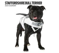 Calendario 2024 moderno dello Staffordshire Bull Terrier