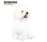 Calendario 2024 moderno di Bichon Frise