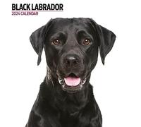 Calendario 2024 moderno Labrador nero