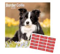 Calendario 2025 Border Collie | Calendario da parete quadrato di razza di cane | 16 mesi | con adesivi organizzativi