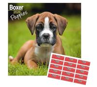 Calendario 2025 con Cuccioli di Boxer e Adesivi Organizzativi