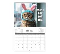 Calendario 2025 con gatti | Calendario 2025 con gattini | Calendario 2025 | Calendario artistico con gatto arrabbiato | Calendario divertente mese 2025, creativo simpatico gattino 2025 calendario