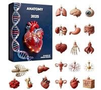 Calendario 2025 dell'avvento anatomico: 24 giorni mini modelli a tema calendario natalizio con ornamenti anatomici in acrilico 2D, mini sorprese per gli amanti della scienza