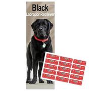 Calendario 2026 Black Labrador Retriever, Formato Sottile, con Adesivi Organizzativi