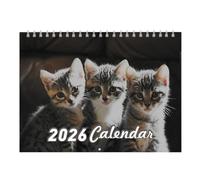 Calendario 2026 | Calendario Mensile di Arte Murale | Organizzatore Divertente e per Casa Ufficio Scuola Famiglia Insegnanti
