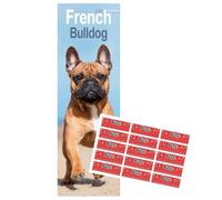 Calendario 2026 con bulldog francese Slim | Calendario sottile di razza cane | 12 mesi | con adesivi organizzativi