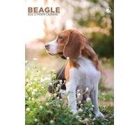 Calendario 2026 con cane Beagle, formato A3, rilegatura a spirale, a colori