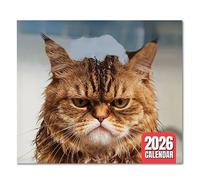Calendario 2026 con gatti arrabbiati, 12 , da gennaio a dicembre 2026, divertente planner per casa, ufficio, casa, studio, stanza, pianificazione scolastica
