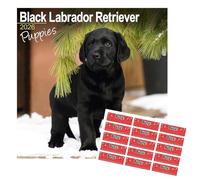 Calendario 2026 con labrador nero, motivo: cuccioli di razza di cane, calendario da parete, 16 mesi, con adesivi organizzativi