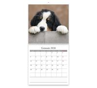 Calendario 2026 da muro personalizzato - Calendario Planner da parete personalizzabile con la tua foto 30x60 calendario 12 mesi pronto da appendere con poster di alta qualità