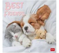 Calendario 2026 da Parete - Best Friends - 30 x 29 cm