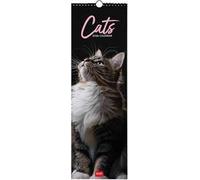 Legami - Calendario da Parete 2026, Cats, Calendario da Muro Piccolo, 12 Mesi e Planner Annuale, in 6 Lingue, Spazio per Note, Segni Zodiacali, Festività Internazionali, 16 x 49 cm