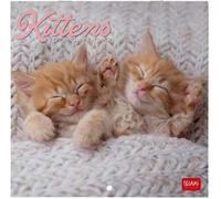 Calendario 2026 da Parete - Kittens - 18 x 18 cm