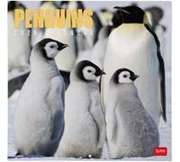 Legami - Calendario da Parete 2026, Penguins, Calendario da Muro Grande, 12 Mesi e Planner Annuale, in 6 Lingue, Spazio per Note, Segni Zodiacali, Festività Internazionali, 30 x 29 cm