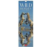 Calendario 2026 da Parete - Wild Horses - 16 x 49 cm