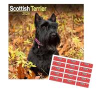 Calendario 2026 di Scottish Terrier | Calendario da parete quadrato di razza di cani | 16 mesi | con adesivi organizzativi