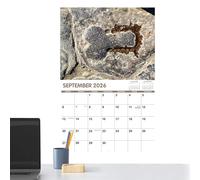 Calendario 2026 - Divertente calendario da parete - Agenda creativa umoristica per la gestione del Riferimento Casa e Scuola Organizzazione