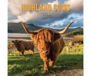 Calendario 2026 Highland Cows Wall Planner Organizer Regalo di Natale Nuovo