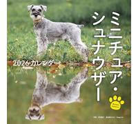 Calendario 2026 Miniature Schnauzer (Calendario Seibundo Shinkosha)