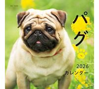Calendario 2026 Pug (Calendario Seibundo Shinkosha)