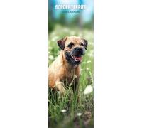 Calendario 2026 Slim Border Terrier