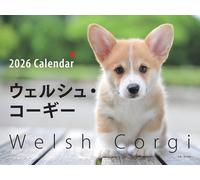 Calendario 2026 Wide Format Welsh Corgi (Seibundo Shinkosha Calendar) dal Gia...