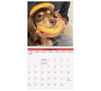 Calendario 2027 Cani Agenda Divertente Con Ampia Griglia Per Le Date E