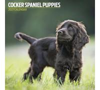 Calendario 2027 con cuccioli di Cocker Spaniel