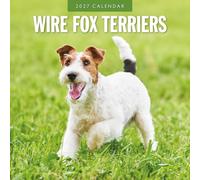 Calendario 2027 da parete, a tema Wire Fox Terriers, quadrato | Calendario da appendere per 12 mesi, carta premium spessa e robusta, note in linea e area per le cose da fare
