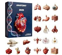 Calendario 'Avvento 2025, ciondolo 2d 24 giorni | Divertente statuetta di anatomia umana per infermieri, studenti, medici, compleanno, laurea, albero da parete