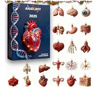 Calendario Avvento Anatomia - 24 Ciondoli Parti Anatomic in Miniatura, Collezione di Charm per Studenti di Medicina e Infermieri | Regalo di Natale Originale per Appassionati di Scienza
