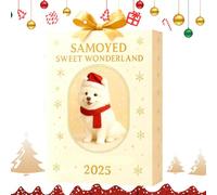 Calendario 'Avvento con Natale | Pendenti Acrilici 2D, 24 Giorni Di Avvento di Natale - Per Specchio Retrovisore Auto, Albero Da Giardino, Vacanze, Festivo, Pomelli Porta