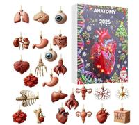 Calendario Avvento Countdown di Natale Ornamenti 2D In Acrilico Piccoli | Calendario di Natale con Figura Corpo Umano Per Casa Camera Ingresso Mensola Parete Caminetto Albero