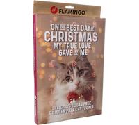 Calendario avvento gatti - Chick’n Snack - 24 snack XXL - senza glutine - senza zuccheri aggiunti - Flamingo