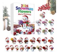 Calendario 'Avvento natalizio da appendere, ornamento in acrilico 2D | Calendario dell'Avvento natalizio per 24 giorni, come decorazione per casa, auto, porta, finestra, albero di Natale e Wan