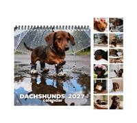 Calendario Cani 2027 12 Pianificatori Mensili Spessi Per Programma Cani E | Calendario Da Parete Animali Per La Programmazione Organizzazione E Pianificazione Casa E Ufficio