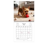 Calendario canino - Organizzatore da 12 con immagini divertenti, Almanacco da parete 2026 | Per camera da , soggiorno, appartamento, Aula, ufficio e feste festive