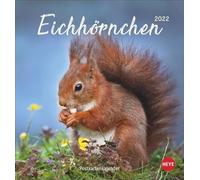 Calendario cartolina scoiattolo 2022