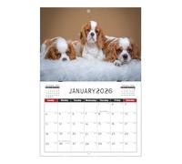 Calendario con Animali | Artistico E | Calendario da Scrivania Estetico,Per La Casa L'Ufficio La Pianificazione L'Organizzazione La Famiglia La Scuola Lo Studio Gli Amici