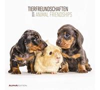 Calendario da muro „Animali amici“ 2019 30x30 cm