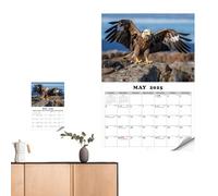 Calendario da parete 2025,Calendario da parete 2025 | Calendario mensile da parete Calendario Eagle - Calendario da parete ribaltabile appeso con calendario giornaliero luminoso per ofi