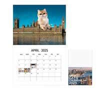 Calendario da parete 2025 Fun Cats,Calendario Big Cat 2025, divertente calendario da parete 12 2025, pianificatore familiare da appendere 12, i gatti governano la terra, calendario da parete